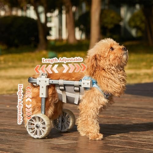 Dog Wheelchair For Back Legs, Lightweight Adjustable Dog Bicycle Trailers Dog Hip Joint Care Wheelchair Recover Mobility Aids For Small Pets Hind Limbs Disabled Or Injured Cats Carts With Wheels(Large - Image 6
