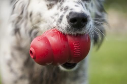 KONG Classic Dog Toy, Large Snacks Peanut Butter Snacks Large Dog Treats 11 Ounces, Combo Bundle - Image 3