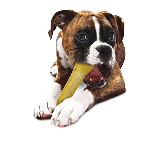 Nylabone Knuckle Bone Flexi Chew Toy for Dogs, Flexible Dog Toys for Moderate & Gentle Chewers, Chicken Flavor, X-Large - 50+ lbs, 1 Count - Image 3