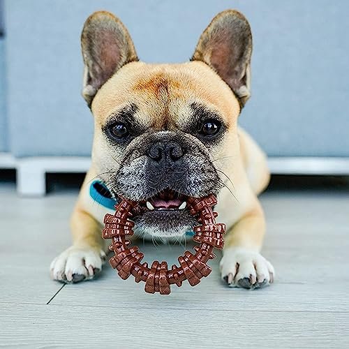 Nylabone Textured Ring Power Chew Toy for Small Dogs, Durable Dog Toys for Aggressive Chewers, Strong Dog Chew Bones To Keep Them Busy, Flavor Medley, Small - Up to 25 lbs, 1 Count - Image 7