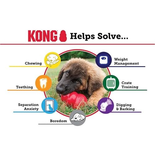KONG Classic Dog Toy, Large Snacks Peanut Butter Snacks Large Dog Treats 11 Ounces, Combo Bundle - Image 7