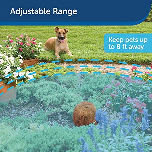 PetSafe Pawz Away Outdoor Pet Barrier Transmitter, Extra Add-A-Barrier for Dogs & Cats - Image 8