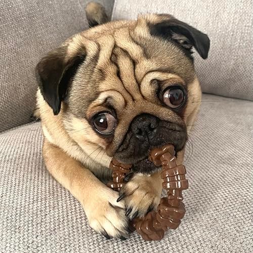 Nylabone Textured Ring Power Chew Toy for Small Dogs, Durable Dog Toys for Aggressive Chewers, Strong Dog Chew Bones To Keep Them Busy, Flavor Medley, Small - Up to 25 lbs, 1 Count - Image 3