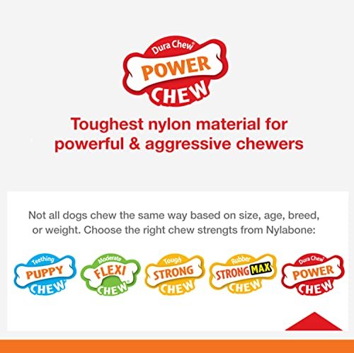 Nylabone PRO Action Dental Bone Power Chew Toy for Dogs, Dog Toys for Aggressive Chewers, Bacon Flavor, Medium - Up to 35 lbs, 1 Count - Image 4