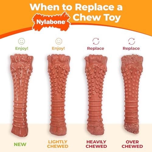 Nylabone Rib Bone Alternative Power Chew Toy for Dogs, Dog Toys for Aggressive Chewers, Beef Flavor, Large - Up to 50 lbs, 1 Count - Image 10
