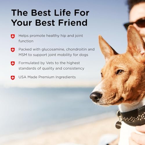 Nutri-Vet Hip & Joint Chewable Dog Supplements - Formulated with Glucosamine & Chondroitin for Dogs - 120 Count - Image 5