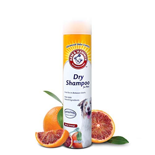 Arm & Hammer for Pets Aerosol Dry Shampoo for Dogs & Puppies | Waterless | Citrus Blood Orange Scent, 5 Ounce Bottle - Image 2