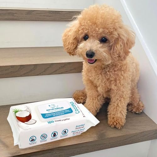 Best Pet Supplies Coconut-Scented Moisturizing Pet Wipes for Dogs & Cats – Extra Soft & Strong Grooming Wipes with Gentle Plant-Derived Formula, Model Number: WW-CO-100 Count (Pack of 1) - Image 7