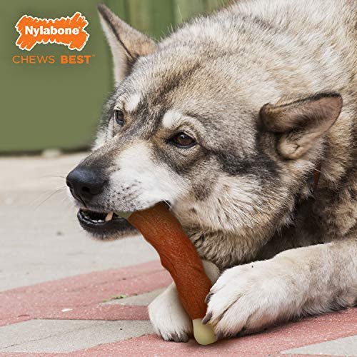 Nylabone Rib Bone Alternative Power Chew Toy for Dogs, Dog Toys for Aggressive Chewers, Beef Flavor, Large - Up to 50 lbs, 1 Count - Image 7