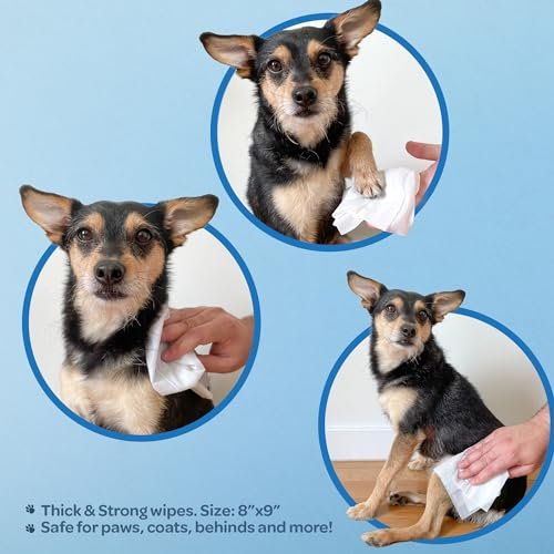 Best Pet Supplies Coconut-Scented Moisturizing Pet Wipes for Dogs & Cats – Extra Soft & Strong Grooming Wipes with Gentle Plant-Derived Formula, Model Number: WW-CO-100 Count (Pack of 1) - Image 4