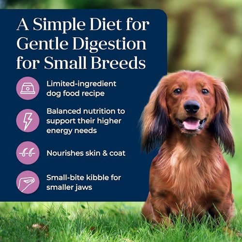 Blue Buffalo Basics Adult Small Breed Dry Dog Food for Skin & Stomach Care, Limited Ingredient Diet, Made in the USA with Natural Ingredients, Turkey & Potato Recipe, 4-lb. Bag - Image 4