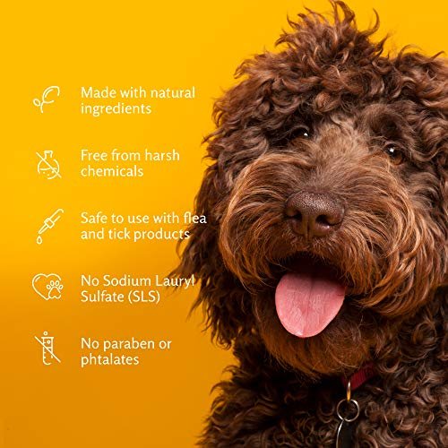 Arm & Hammer for Pets Aerosol Dry Shampoo for Dogs & Puppies | Waterless | Citrus Blood Orange Scent, 5 Ounce Bottle - Image 6