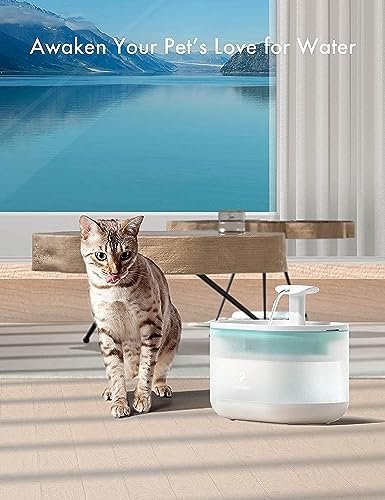 PETLIBRO 4 Packs Replacement Filters for Capsule Cat Water Fountain PLWF002, 2 Months Set of Replacement Filters for Ultra Quiet Pet Water Fountain - Image 6